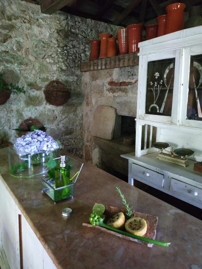 منزل الضيف Oliveira de Frades  في Casa D'Aldeia De Souto De Lafoes المظهر الخارجي الصورة